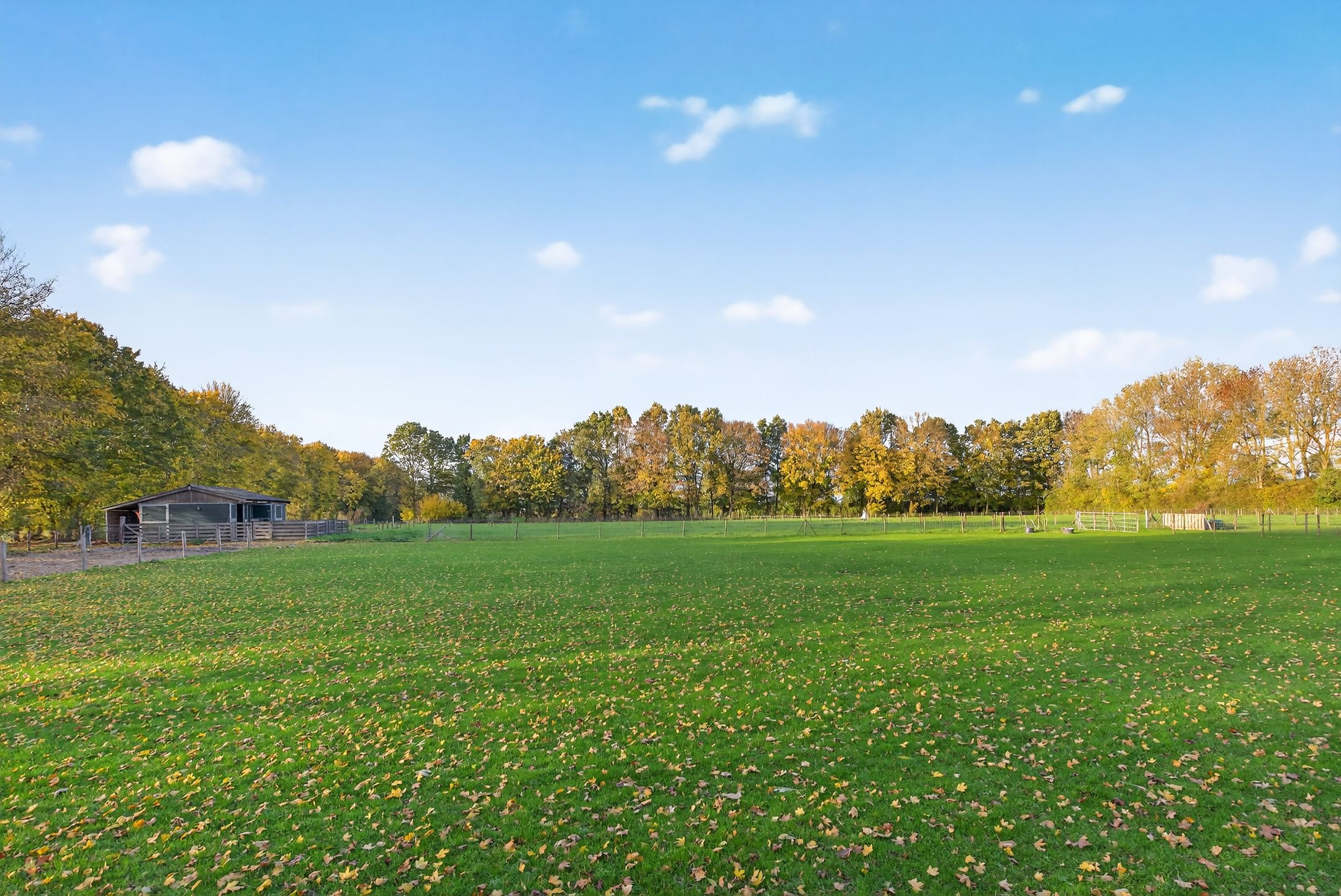 Foto 93 van 1e Tieflaarsestraat 15