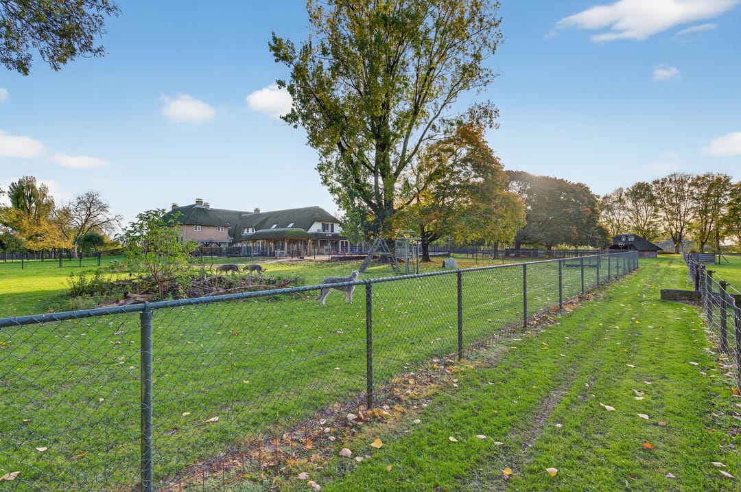 Foto 91 van 1e Tieflaarsestraat 15