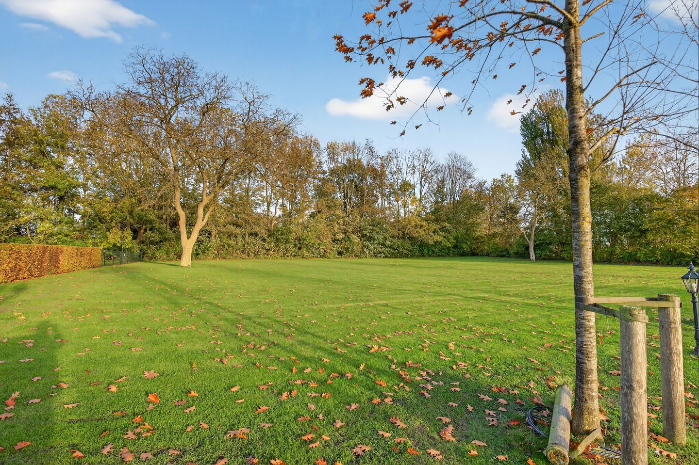 Foto 89 van 1e Tieflaarsestraat 15