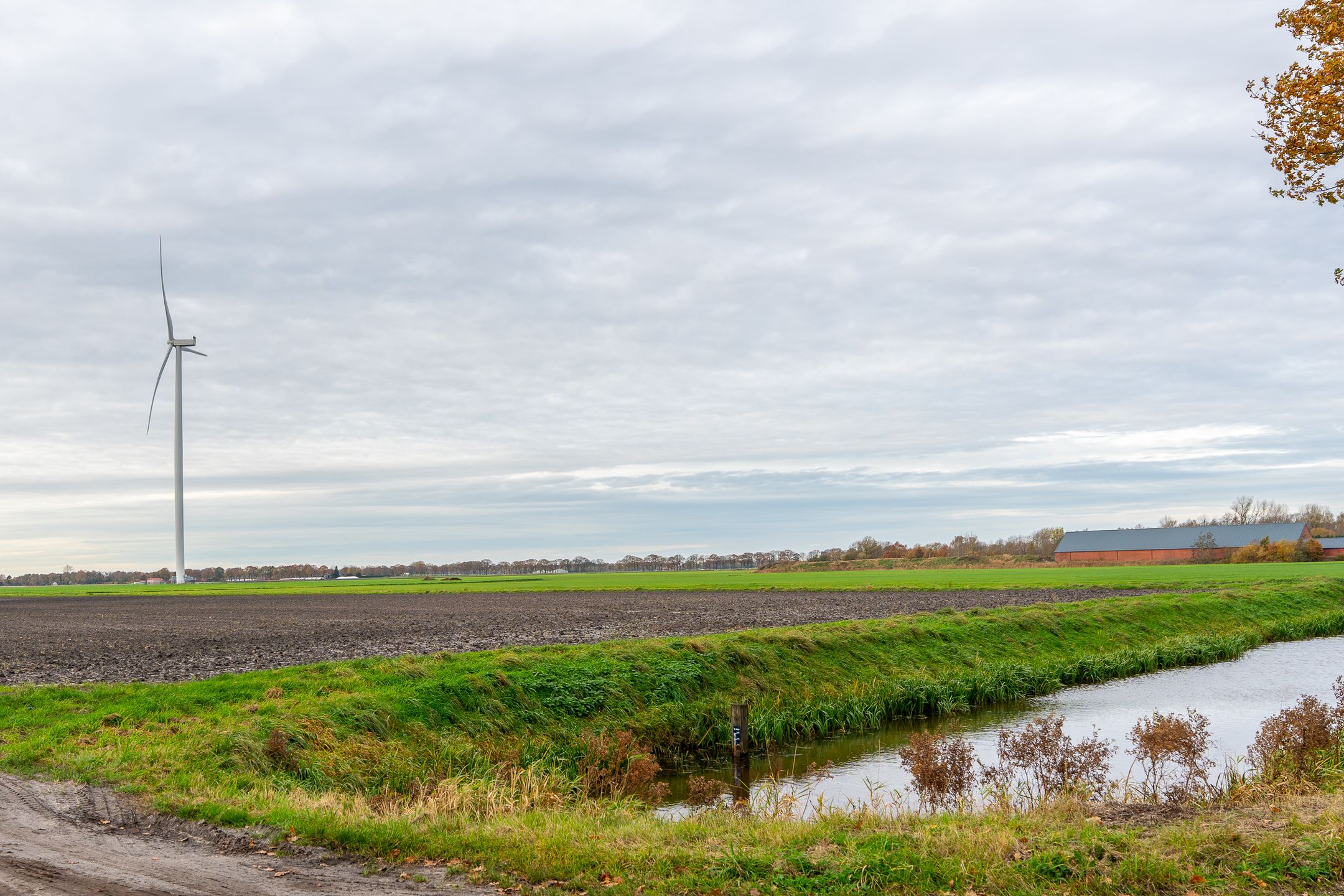 Foto 48 van Nieuwediep 87