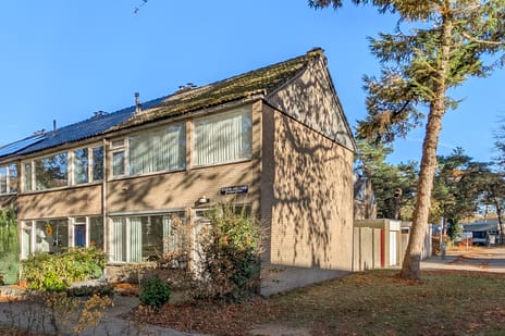 undefined main image