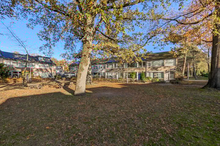 Foto 33 van Roland Holsthof 6