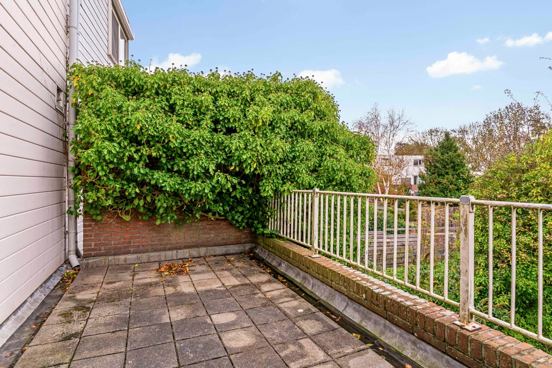 Photo 46 of Oliemolen 213