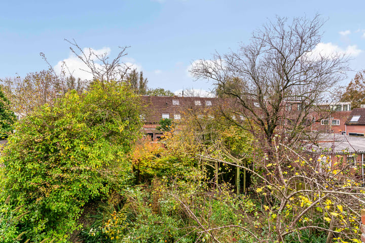 Photo 47 of Oliemolen 213