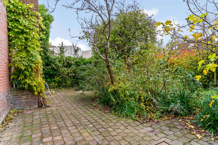 Photo 50 of Oliemolen 213