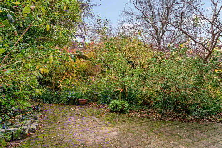 Photo 53 of Oliemolen 213