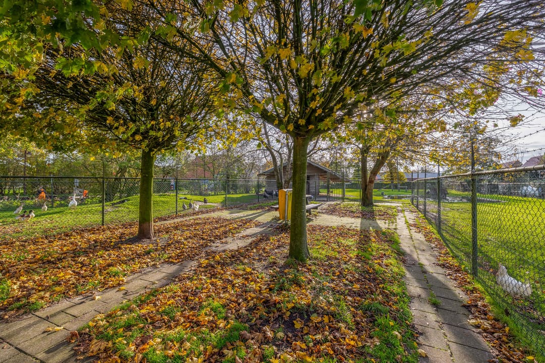 Foto 38 van De Brêge 13