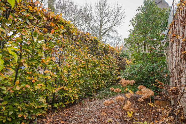 Foto 41 van Gruttostraat 8