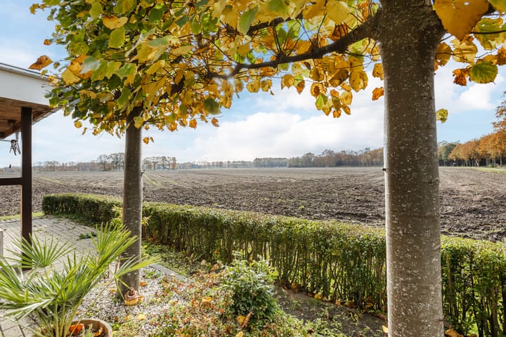 Photo 53 of Schoonveldeweg 10