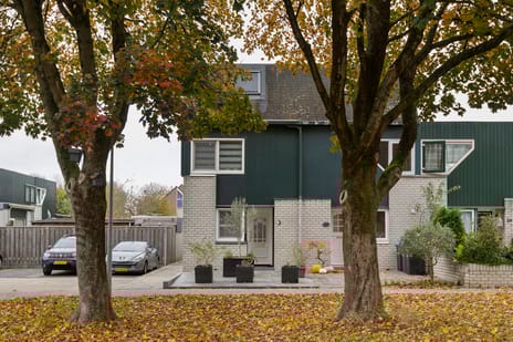 undefined main image