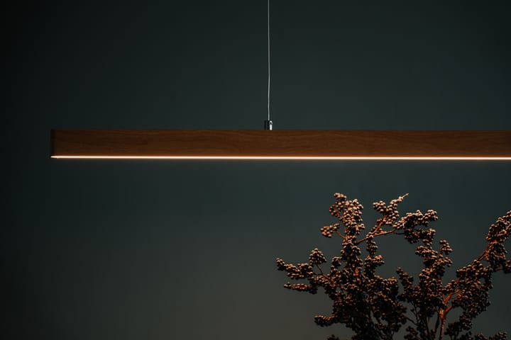 Photo 21 of Jan Frankenstraat 14