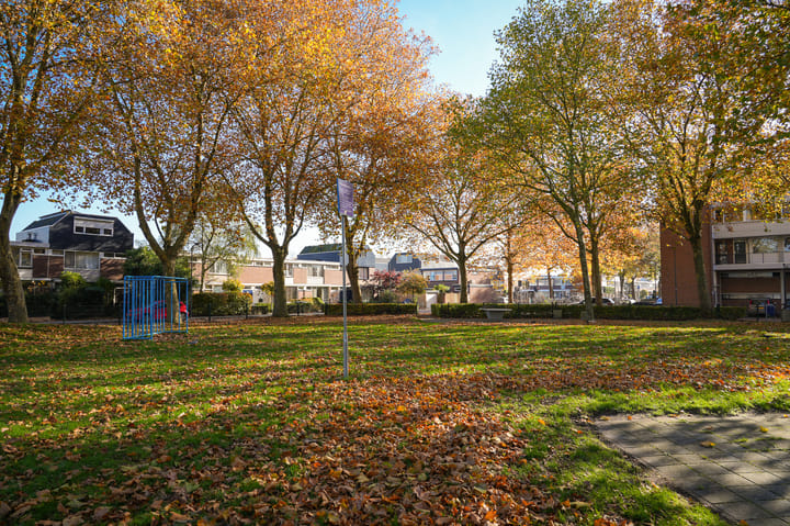 Photo 43 of Jan Frankenstraat 14