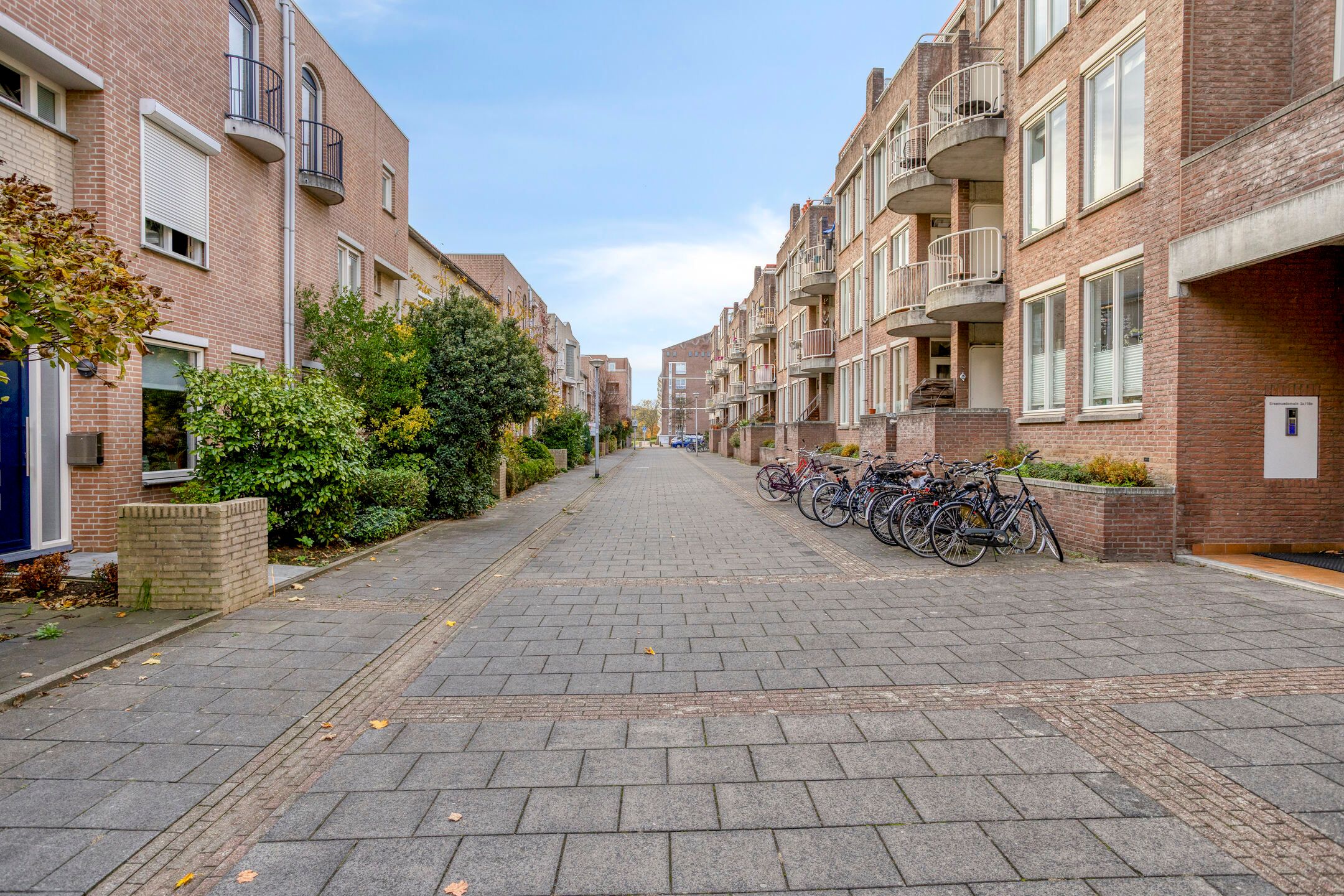 Photo 24 of Erasmusdomein 16-A