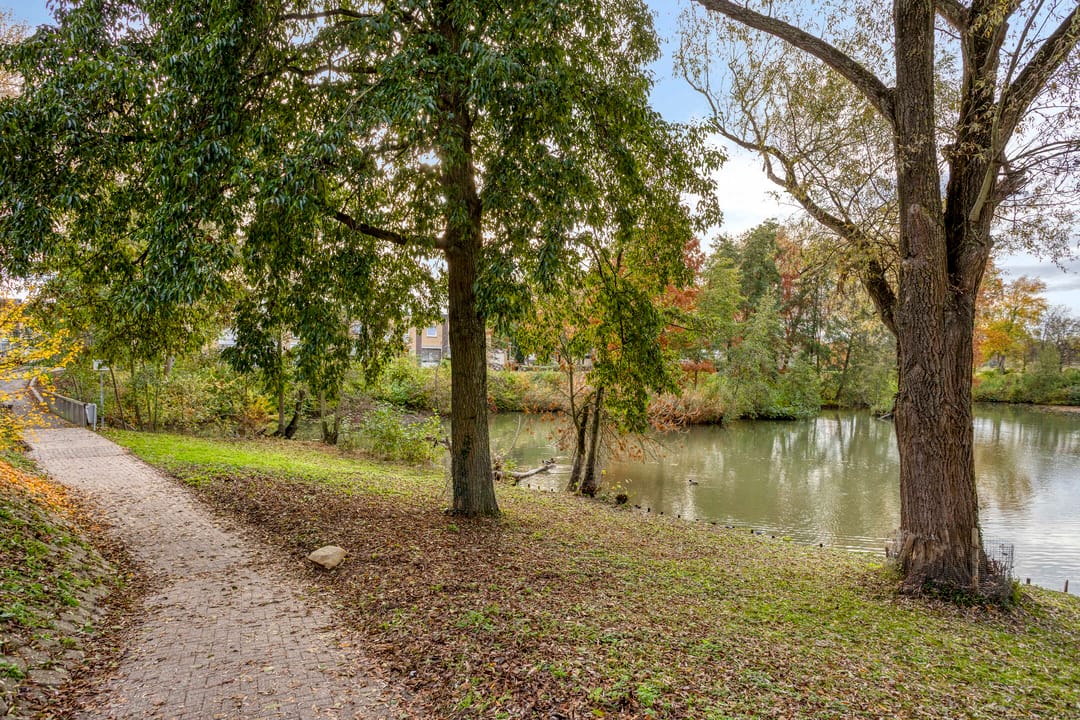 Photo 26 of Erasmusdomein 16-A