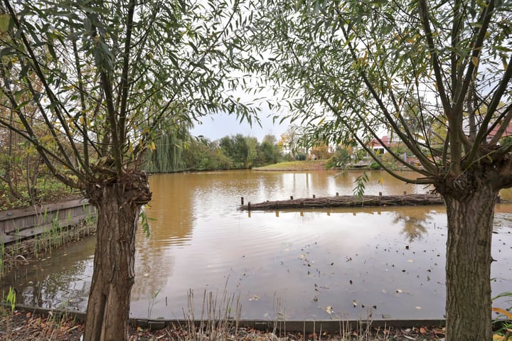 Photo 48 of Het Dolomiet 8