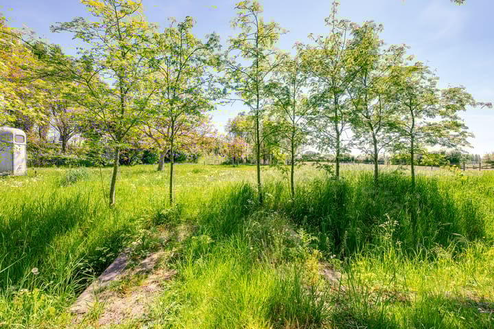 Foto 89 van Bouwdijk 11