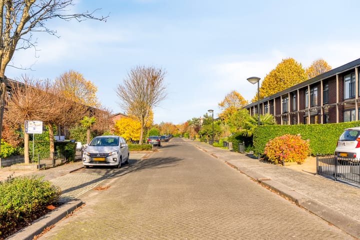 Foto 51 van Zanzibarstraat 51