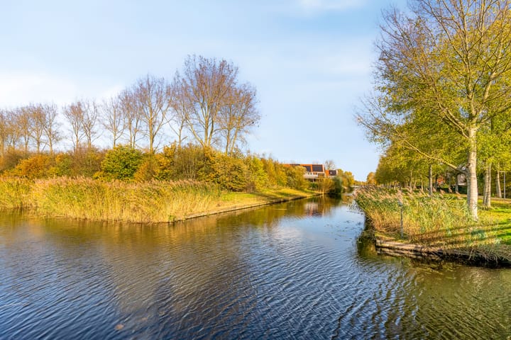 Foto 52 van Zanzibarstraat 51