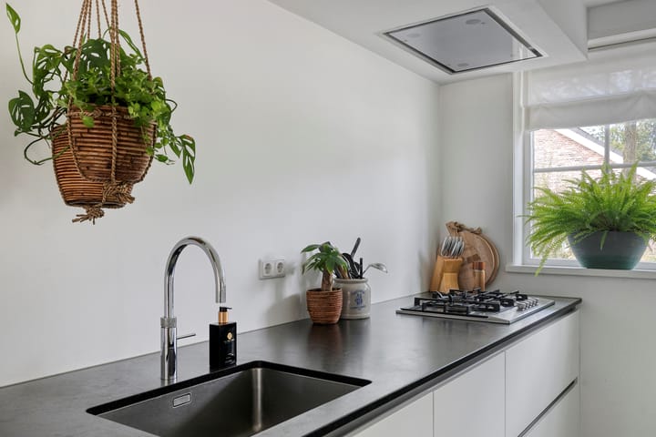 Foto 7 van Waterlelie 13