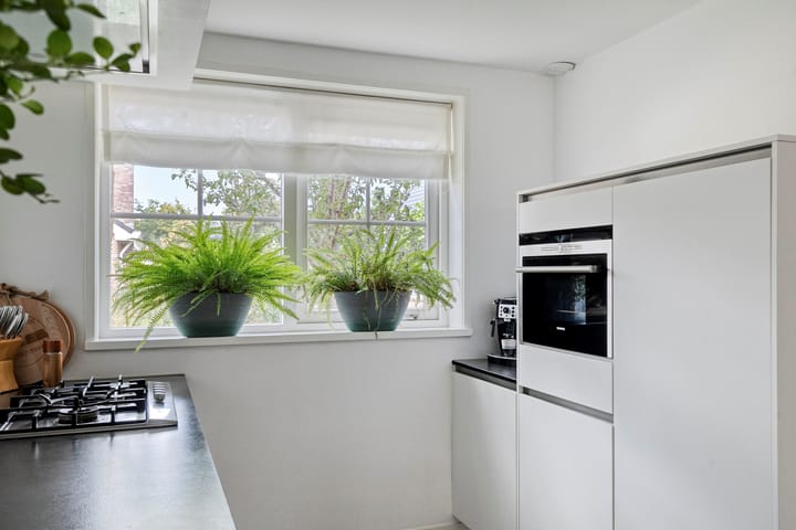 Foto 8 van Waterlelie 13