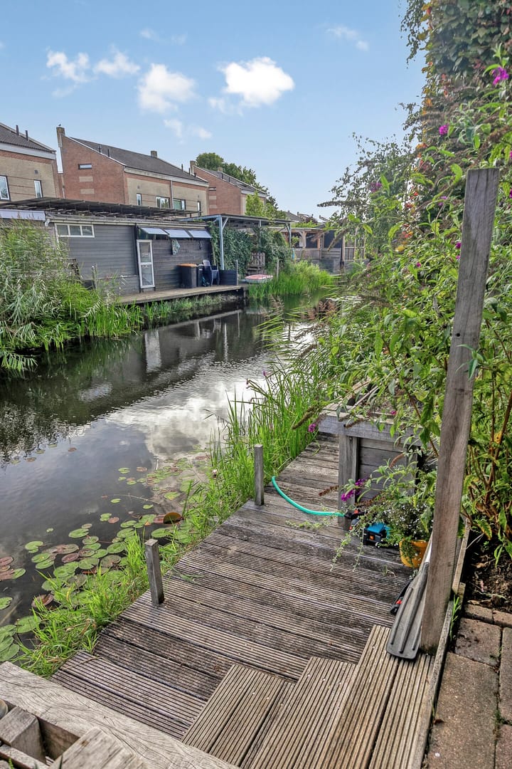 Foto 50 van Waterlelie 13