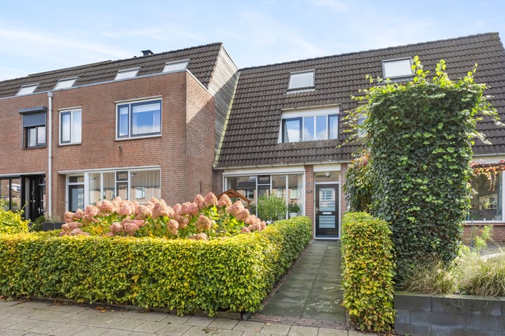 Foto 4 van Wildzoom 115