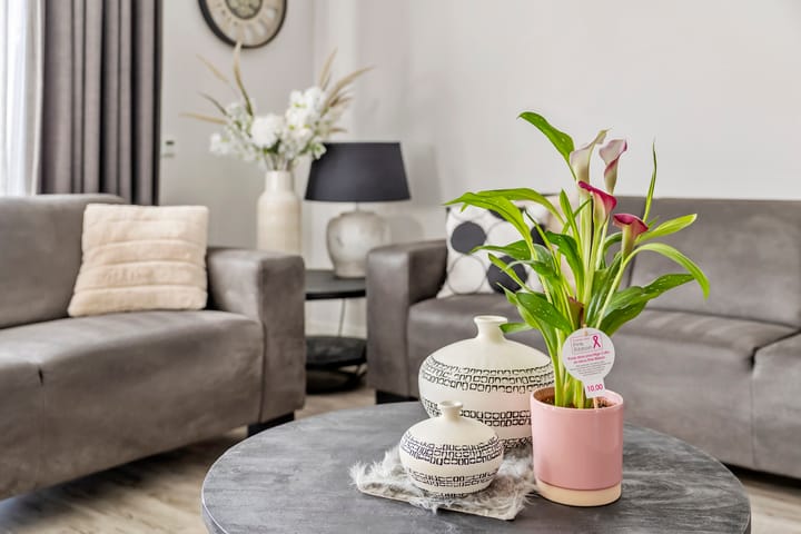 Photo 8 of Jan van der Heijdenstraat 48