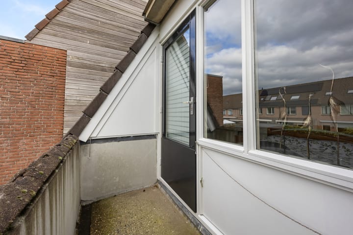 Foto 23 van Wildzoom 115