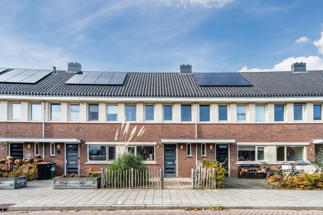 Foto 1 van Juttepeer 11