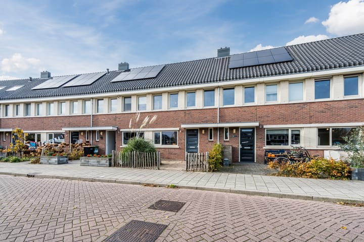 Foto 6 van Juttepeer 11