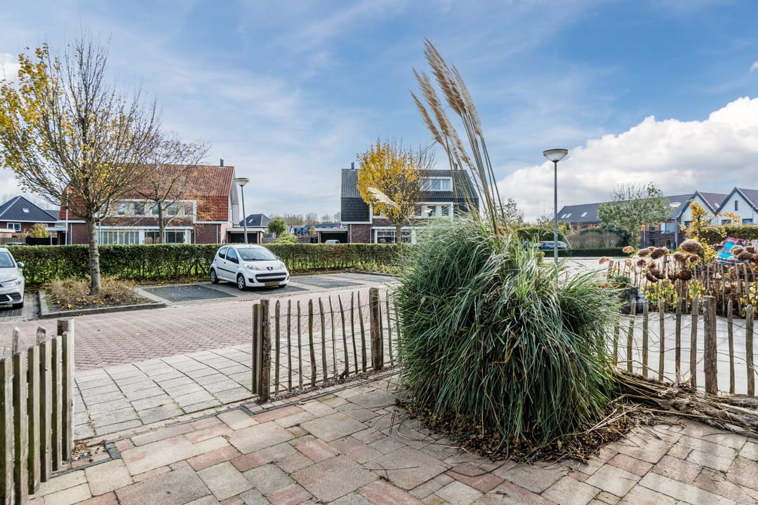 Foto 7 van Juttepeer 11