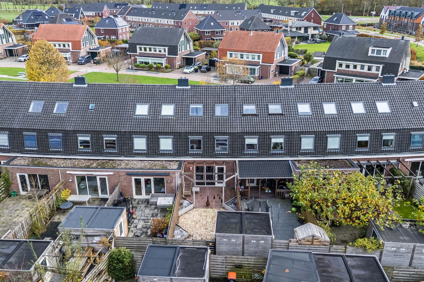 Foto 49 van Juttepeer 11