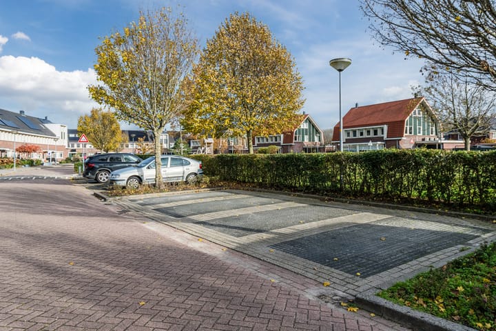 Foto 50 van Juttepeer 11