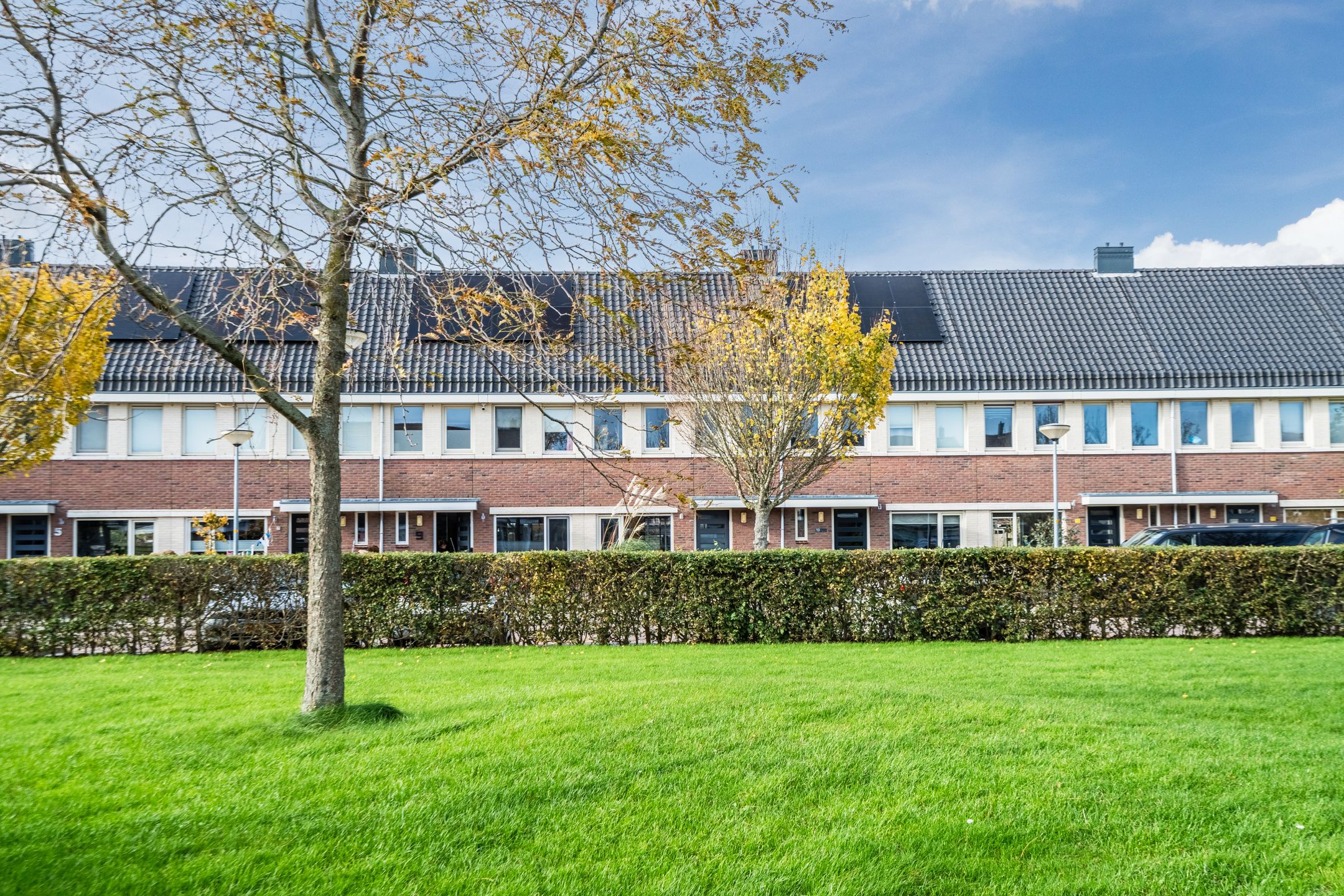 Foto 51 van Juttepeer 11