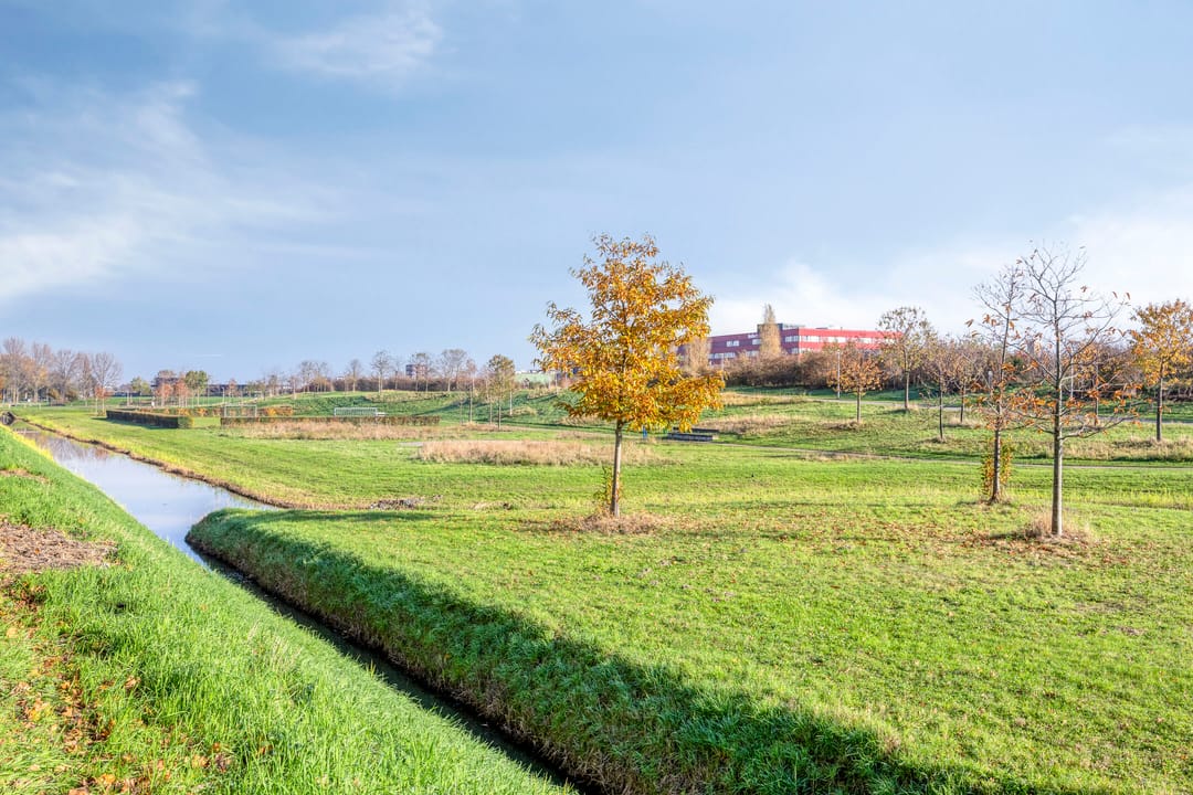 Foto 37 van Muijhof 30