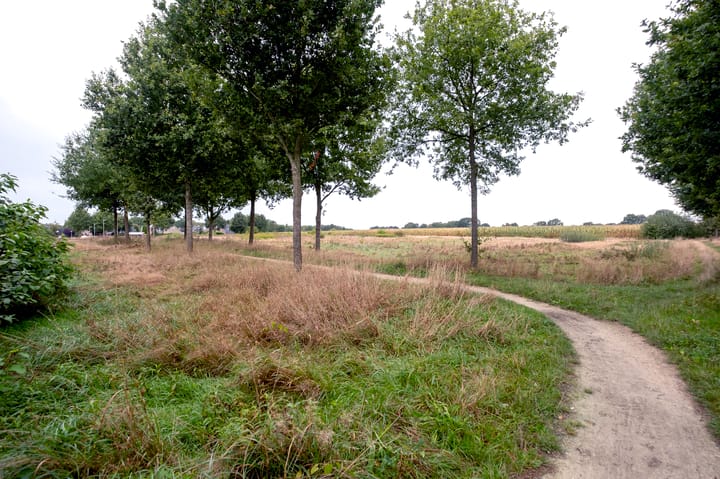 Foto 38 van De Tipakkers 9