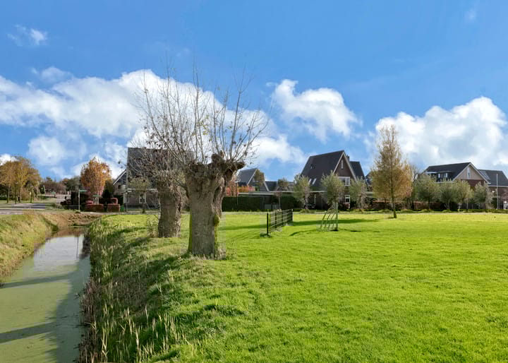 Photo 40 of Pinksterbloem erf 11