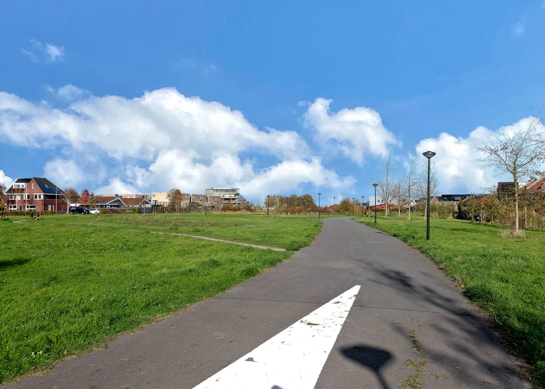 Foto 41 van Pinksterbloem erf 11