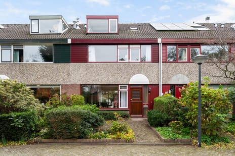 Magnoliadal thumbnail