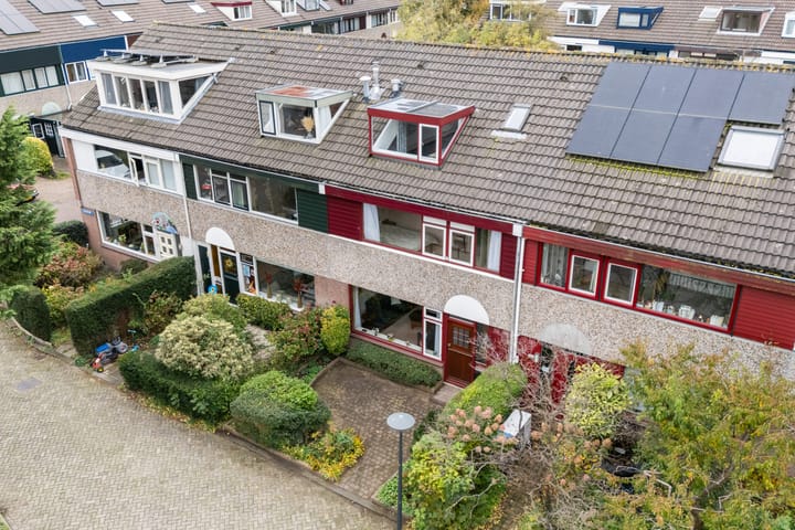 Photo 58 of Magnoliadal 8