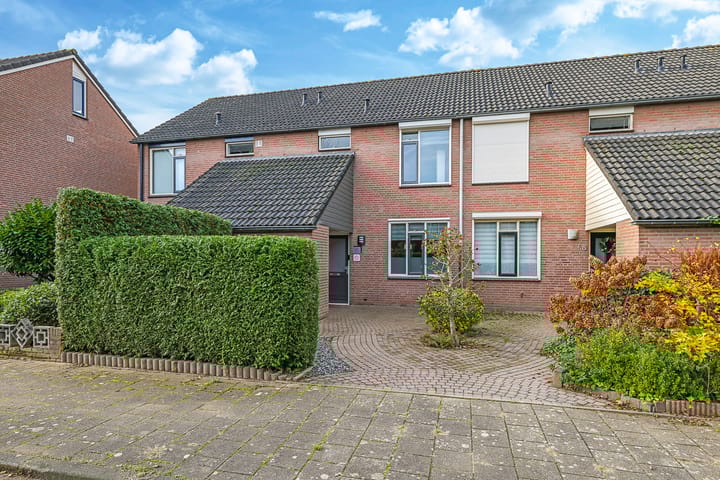 Foto 8 van Sterappel 50