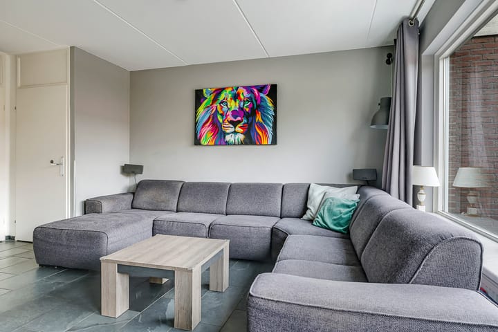 Foto 16 van Sterappel 50