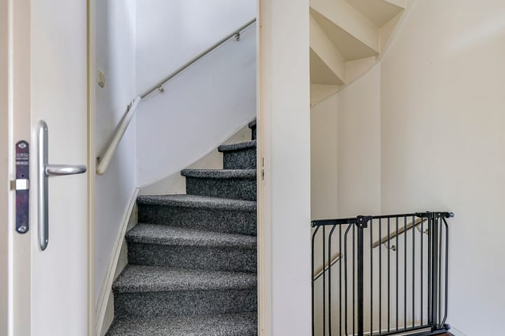 Foto 37 van Sterappel 50