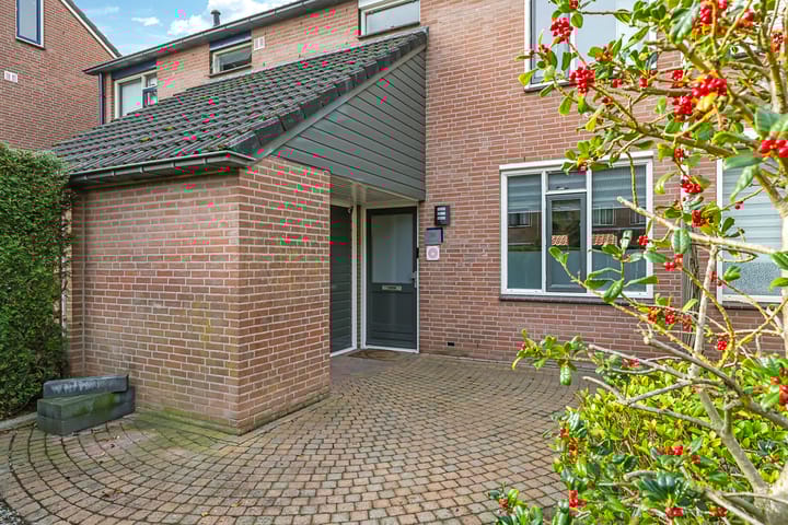 Foto 58 van Sterappel 50