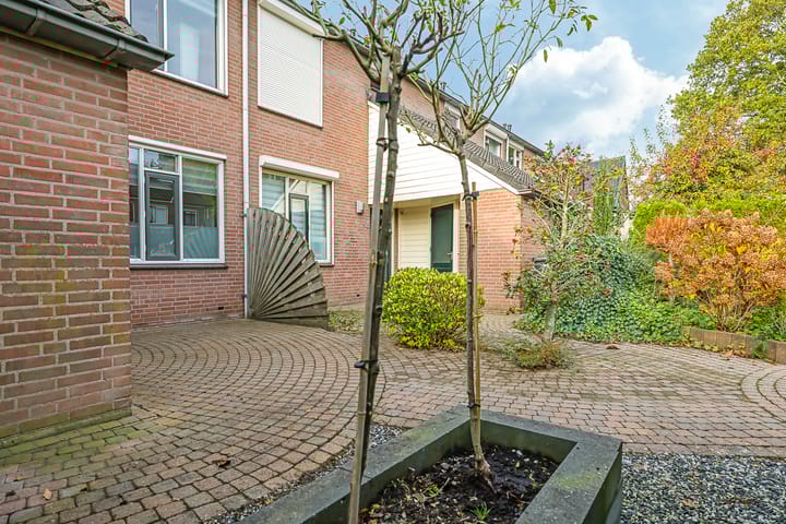 Foto 60 van Sterappel 50