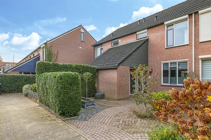 Foto 61 van Sterappel 50