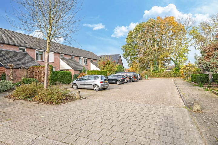 Foto 64 van Sterappel 50