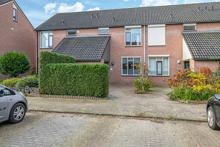 Foto 62 van Sterappel 50