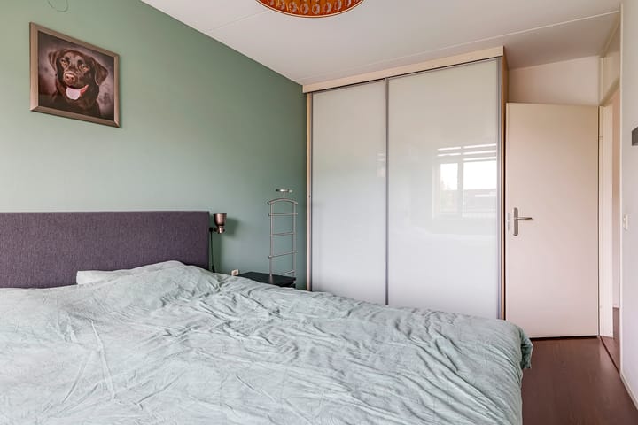 Foto 28 van Sterappel 50