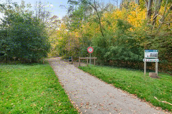 Photo 45 of Kwartellaan 10